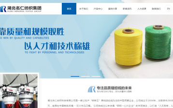 企業(yè)官網_網站建設案例—武漢盛世互聯(lián)