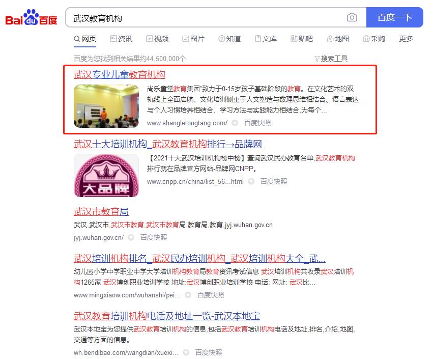 兒童教育、兒童托管機構(gòu)優(yōu)化案例網(wǎng)站建設(shè)案例—武漢盛世互聯(lián)